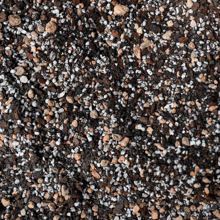 Desert Mix | Premium Cacti & Succulent Potting Mix Potting Soil & Substrates GrowTropicals