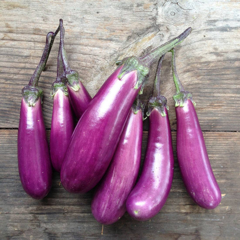 Aubergine 'Slim Jim' Seeds — Default Title