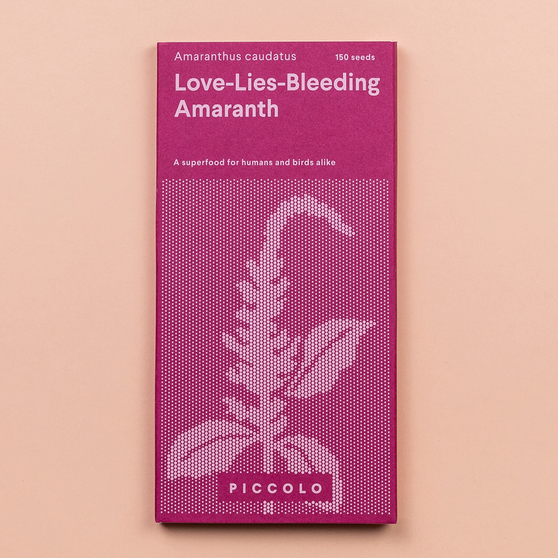 Amaranth 'Love Lies Bleeding' Seeds Seeds Piccolo Seeds
