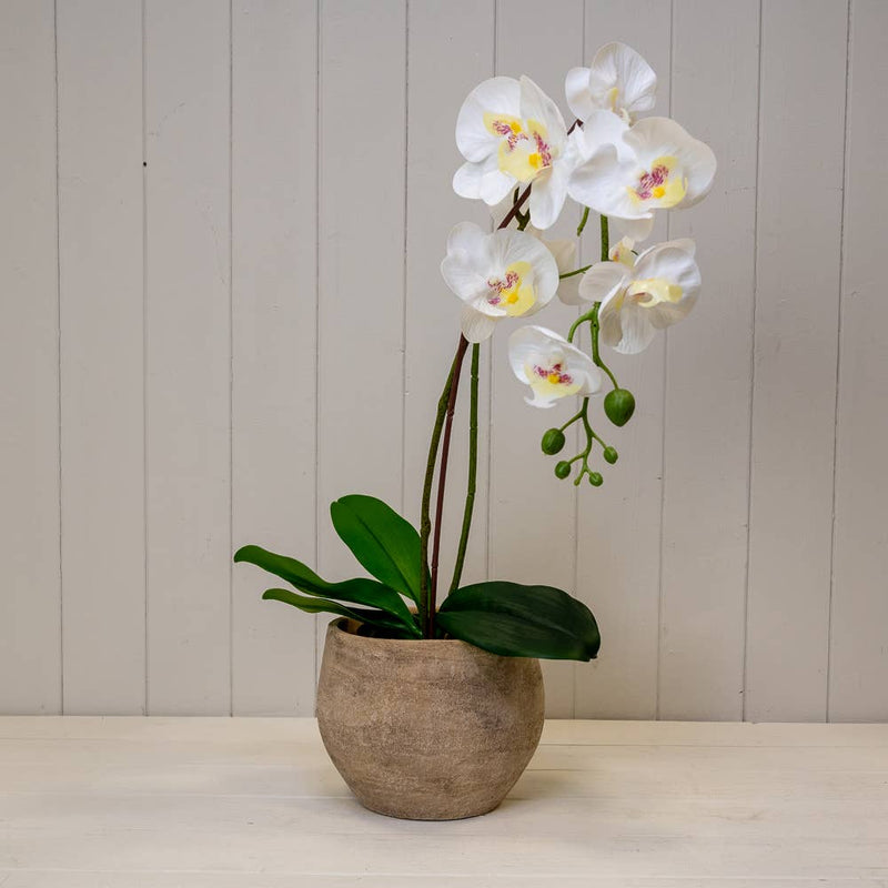 Grey Cement Planter - 15cm Pots & Planters Satchville