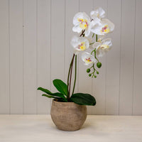 Grey Cement Planter - 15cm