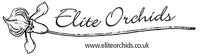 Elite Orchids