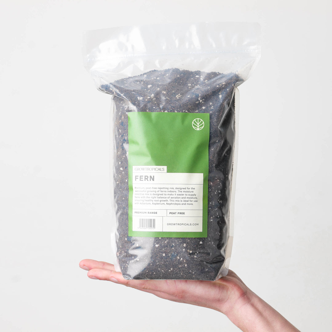 Fern Premium Potting Mix Potting Soil & Substrates GrowTropicals