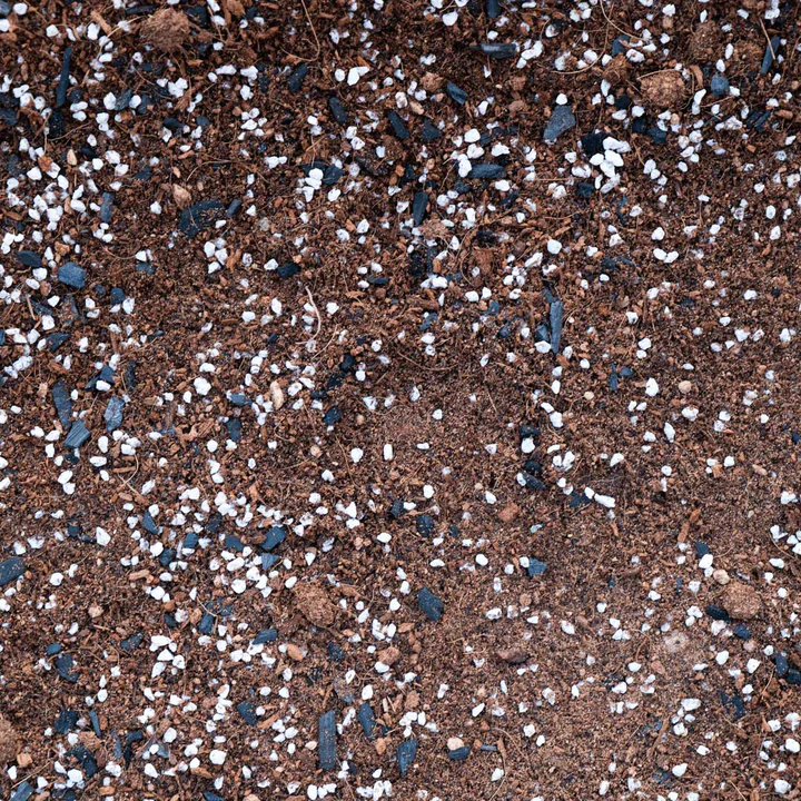 Fern Premium Potting Mix Potting Soil & Substrates GrowTropicals