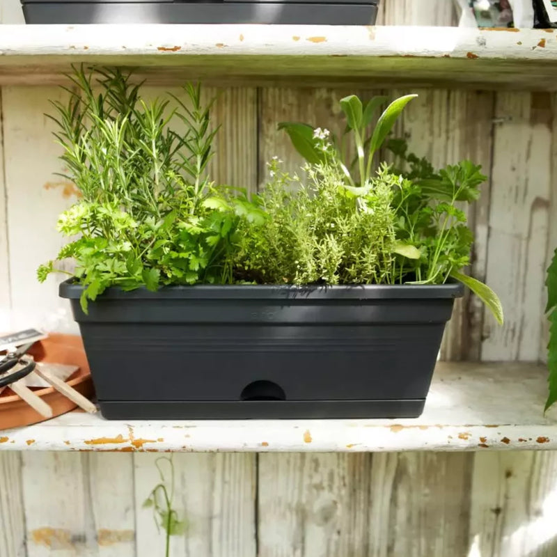 Elho Green Basics Mini Trough Pot Pots & Planters Elho