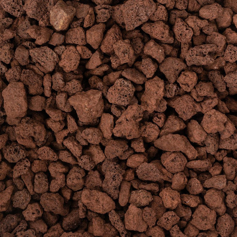 Lava Rock (Coarse Grade) Potting Soil & Substrates GrowTropicals