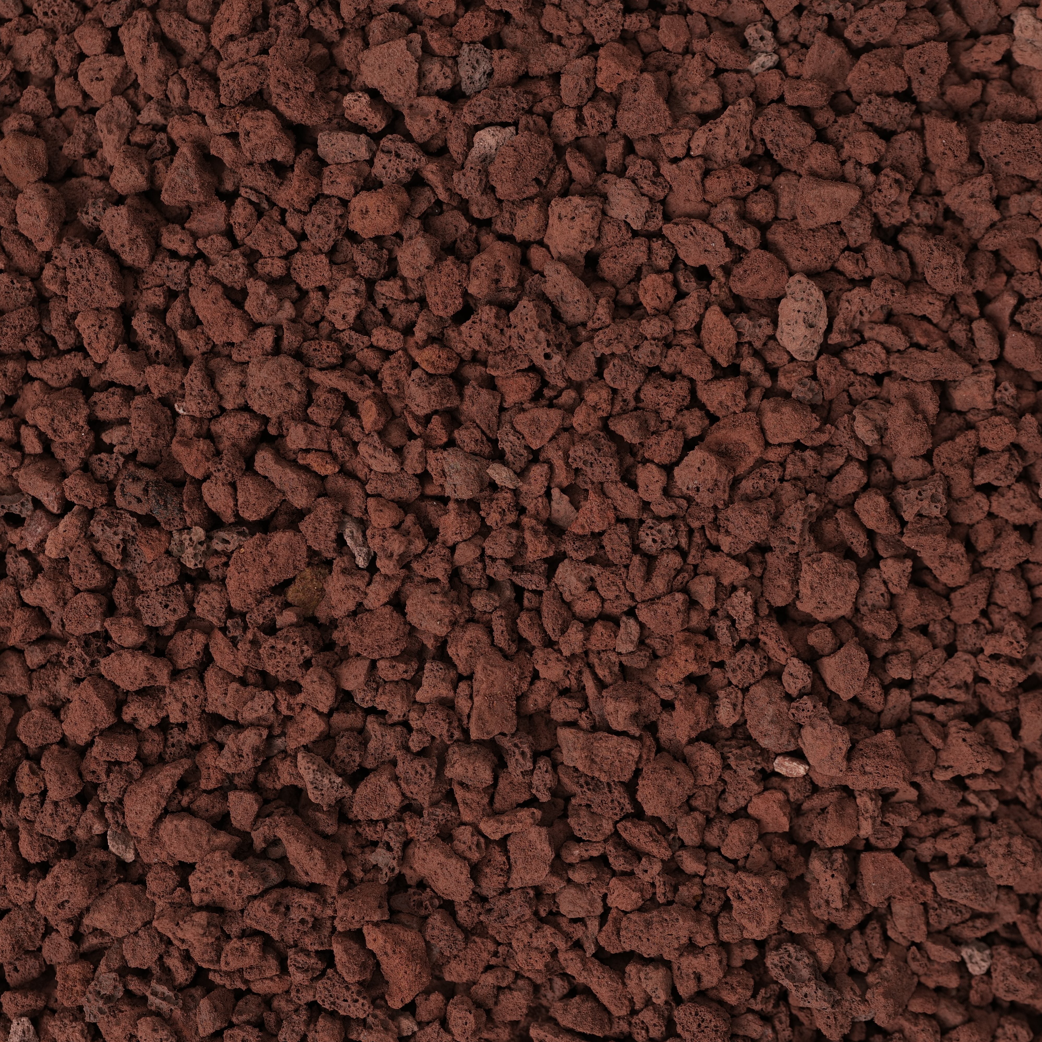 Pro-Mix Tropical Plant Potting Soil (5L) › Anything Grows Pro-Mix Tropical Plant Potting Soil (5L) › Anything Grows