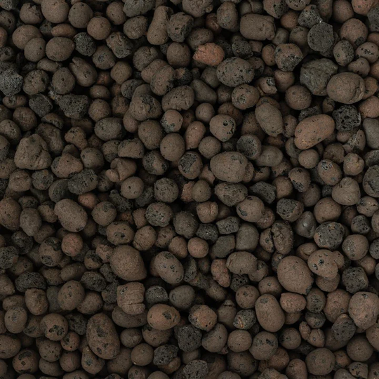 Clay Pebbles 10-20mm Grade Potting Soil & Substrates GrowTropicals