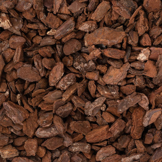 Orchid Bark (Coarse Grade) Potting Soil & Substrates GrowTropicals