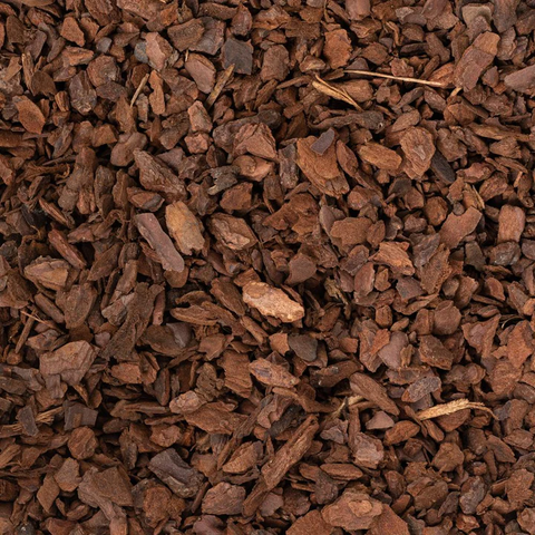 Orchid Bark (Medium Grade) Potting Soil & Substrates GrowTropicals