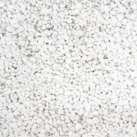 Perlite (Coarse Grade)