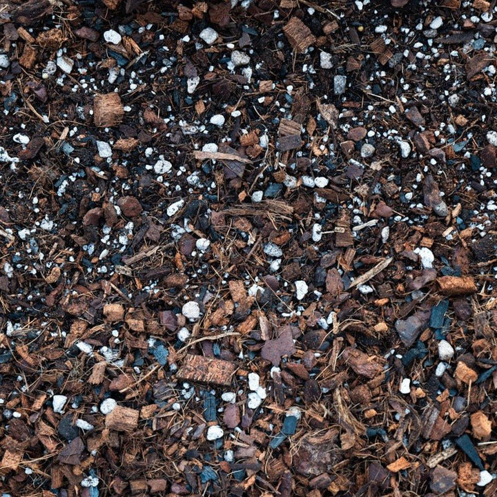 Monstera & Philodendron Premium Potting Mix Potting Soil & Substrates GrowTropicals