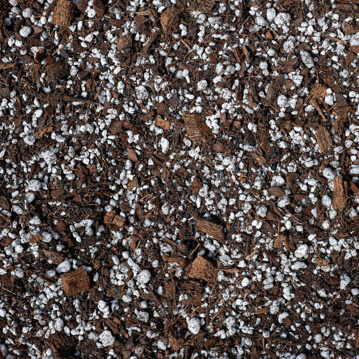Hoya Premium Potting Mix Potting Soil & Substrates GrowTropicals