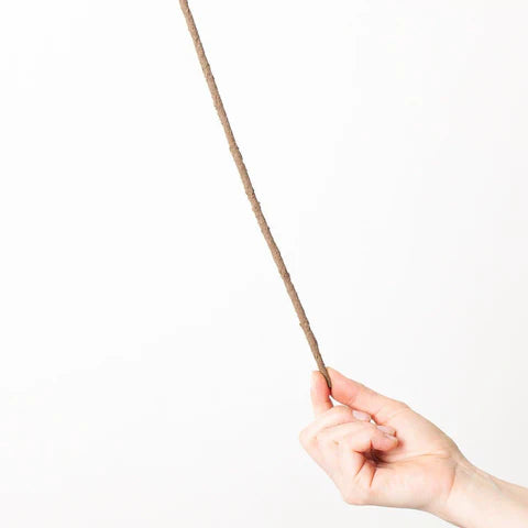 Kratiste Stake (Bamboo Replacement) Plant Support GrowTropicals