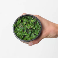 Liverwort sp. (Wide)