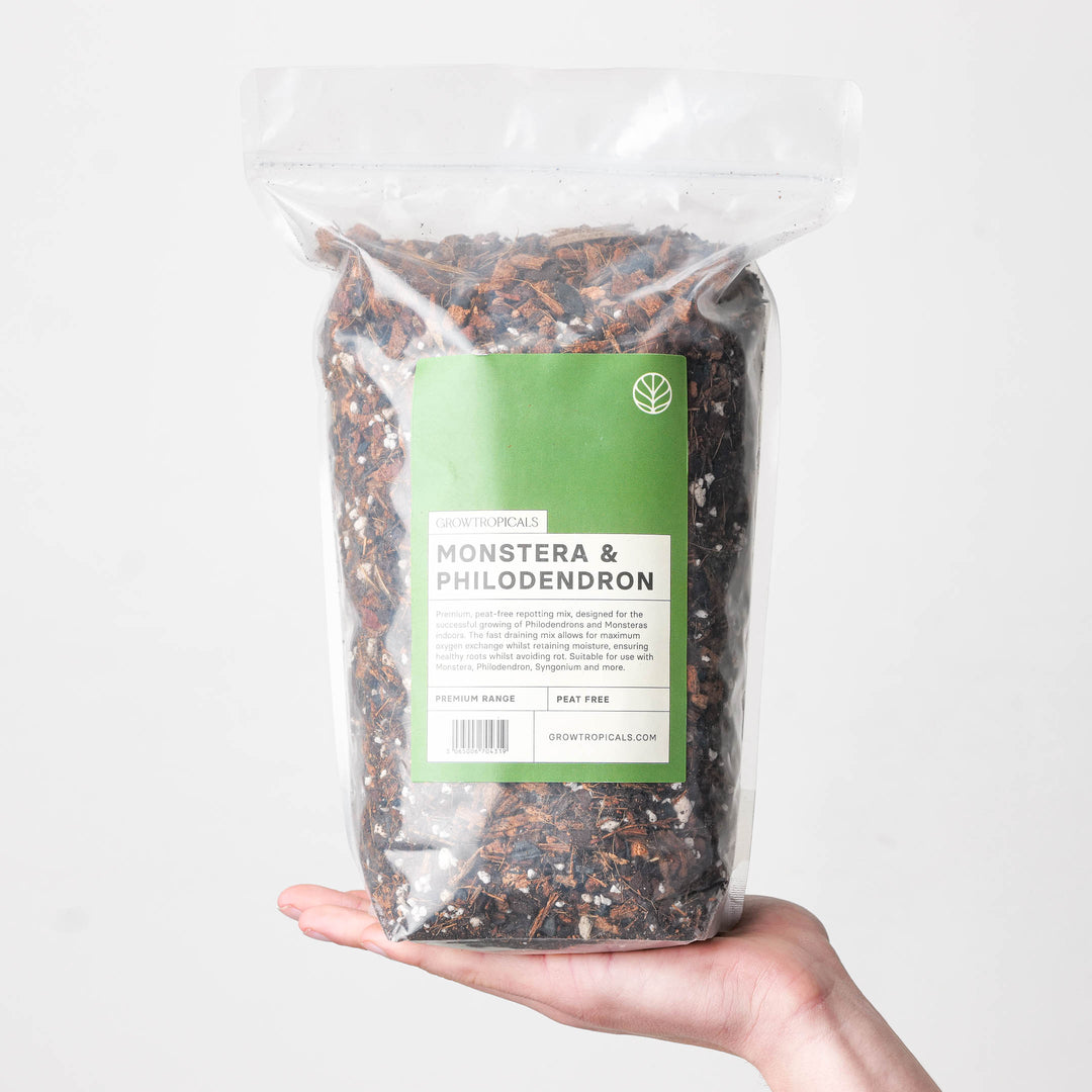 potting mix for monstera plant Monstera & Philodendron Premium Potting Mix | Potting Soil & Substrates