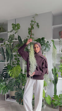 Tillandsia Usenoides Plants GrowTropicals
