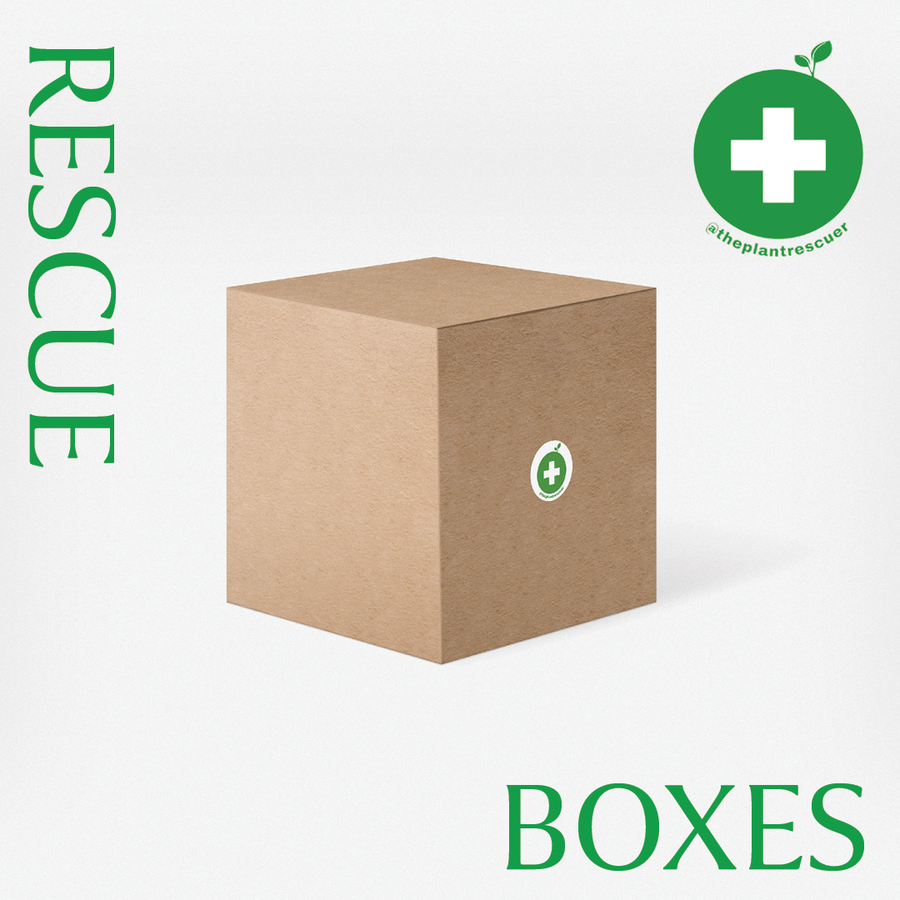 @ThePlantRescuer Rescue Box - GROW TROPICALS