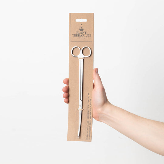 Long Terrarium Scissors Tools GrowTropicals