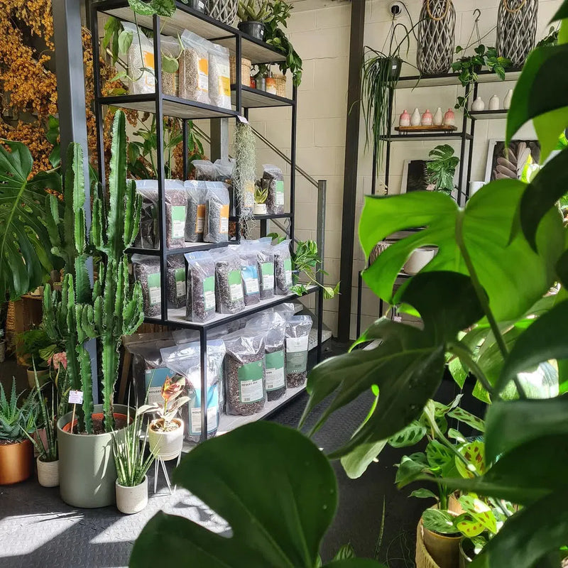 Why Stock our Potting Mixes?