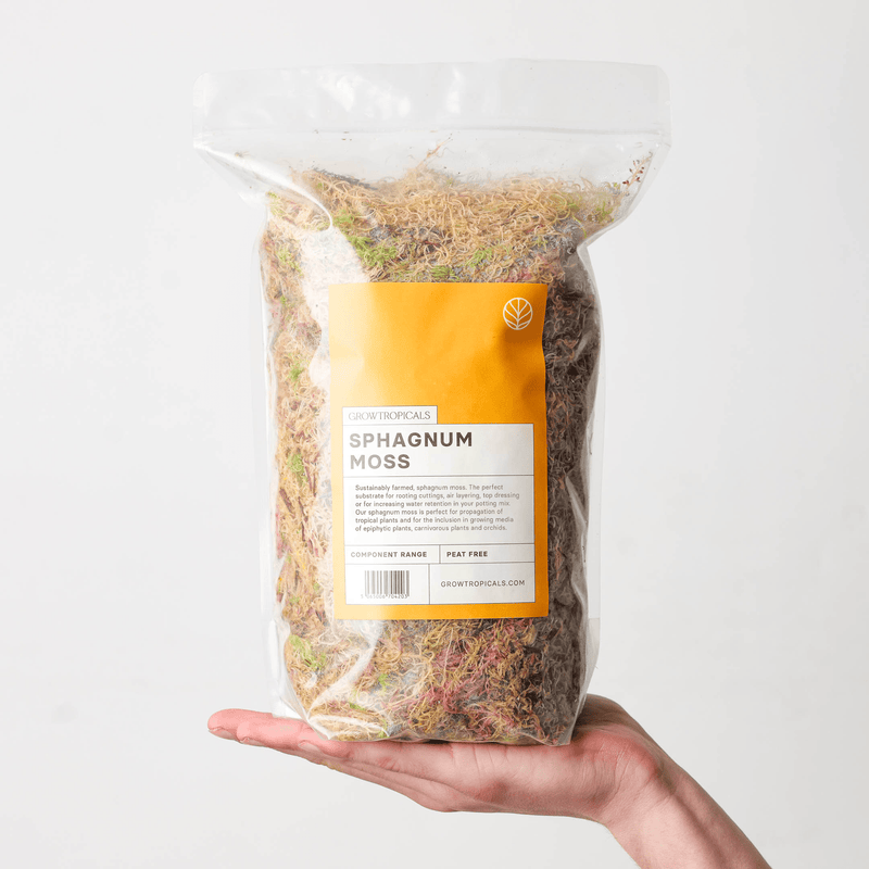 Tissue Culture Acclimation Starter Kit GrowTropicals