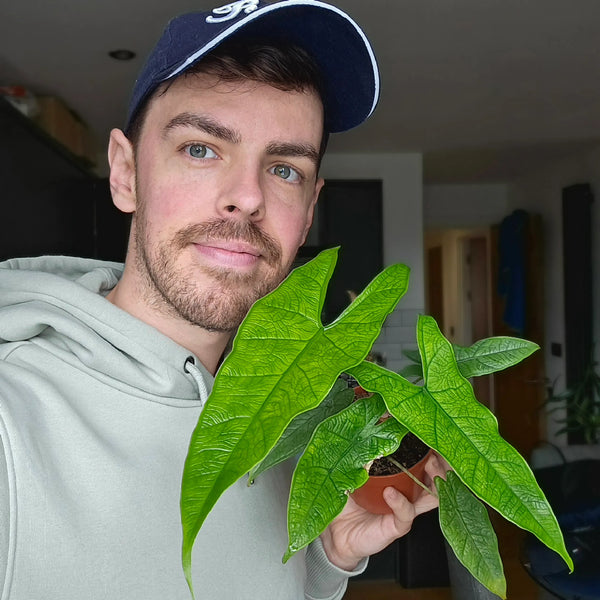 Our Growing Community