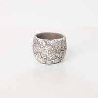 Thomas Concrete Pot - Light Grey