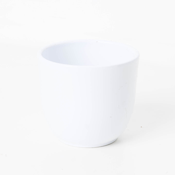 Tusca White Ceramic Pot - GROW TROPICALS