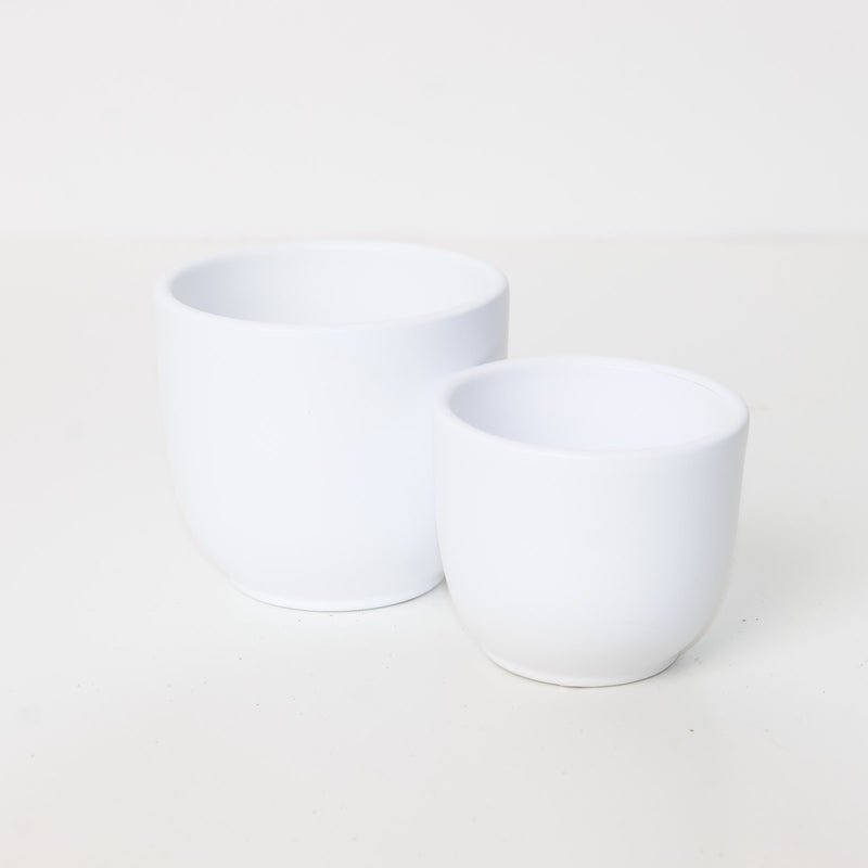 Tusca White Ceramic Pot Pots & Planters GrowTropicals