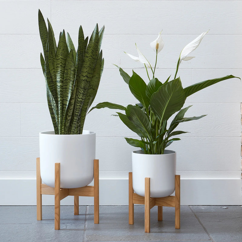 Lisbon White Plant Pot — 11.5cm / White