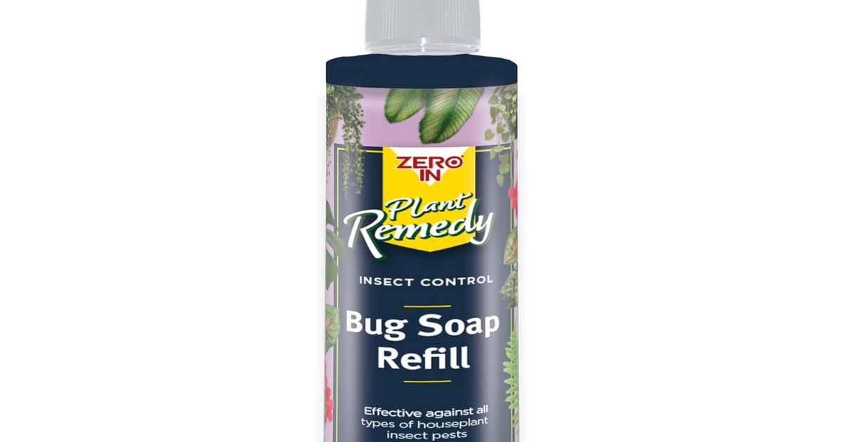 Zero-in Horticultural Soap | Pest Control