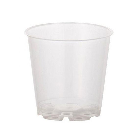 Clear Orchid Pots 6cm | Transparent Nursery Pot Pots & Planters GrowTropicals