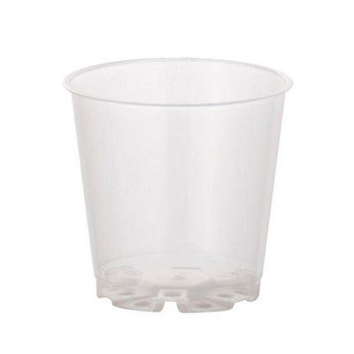 Clear Orchid Pots 6cm | Transparent Nursery Pot 6cm / Single