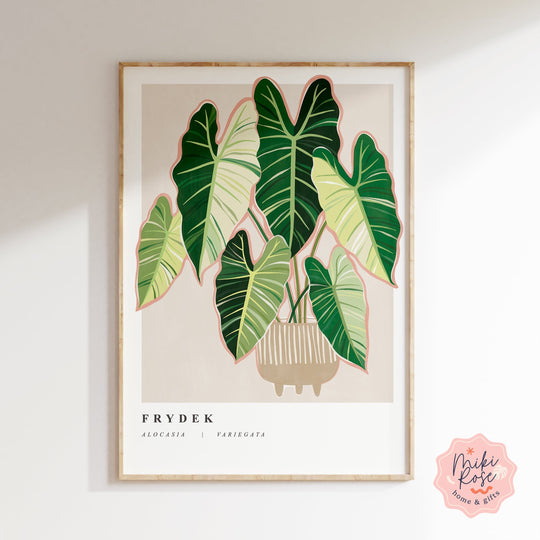 Alocasia Frydek Variegata Art Print Prints MikiRoseHome