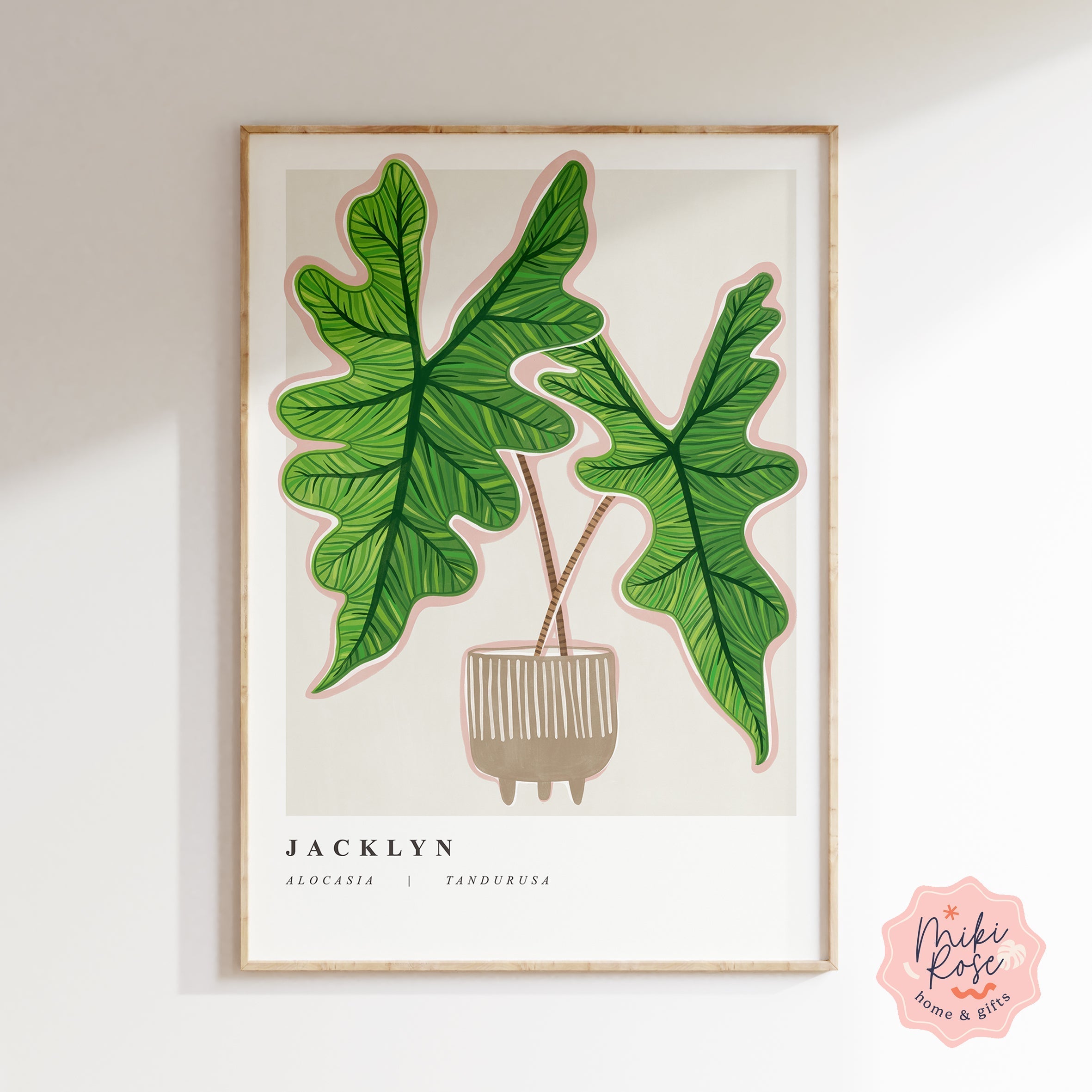 Alocasia Jacklyn Art Print | Prints | GrowTropicals.com