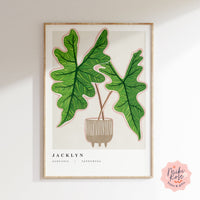 Alocasia Jacklyn Art Print