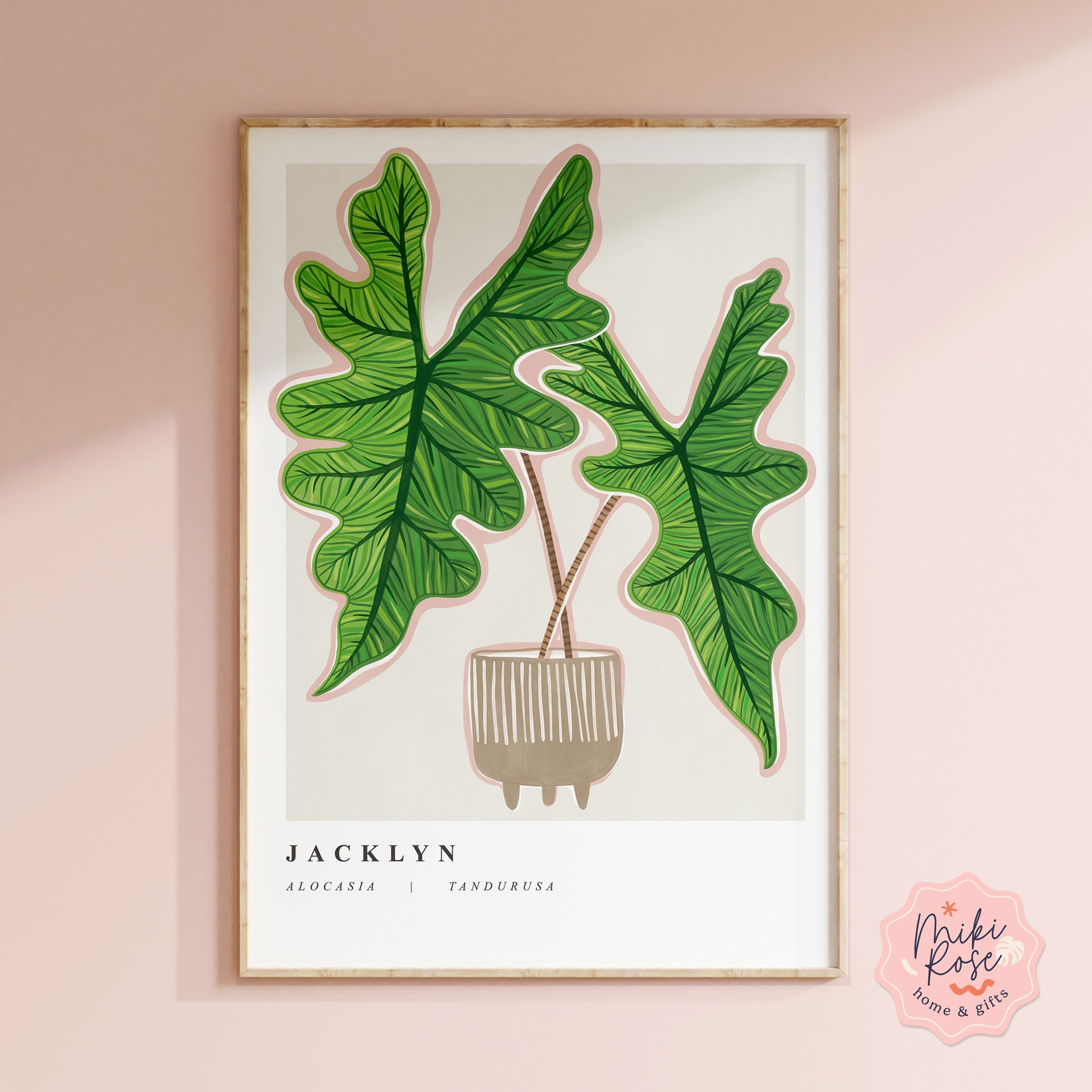 アクタス　絵 Alocasia Jacklyn Art Print | Prints | GrowTropicals.com