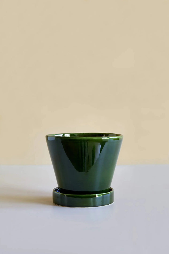 Bergs Potter Julie Pot Glazed Green with Saucer - GROW TROPICALS