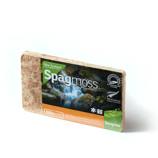 Besgrow Sphagnum Moss | New Zealand long fibre moss 100g Potting Soil & Substrates Besgrow