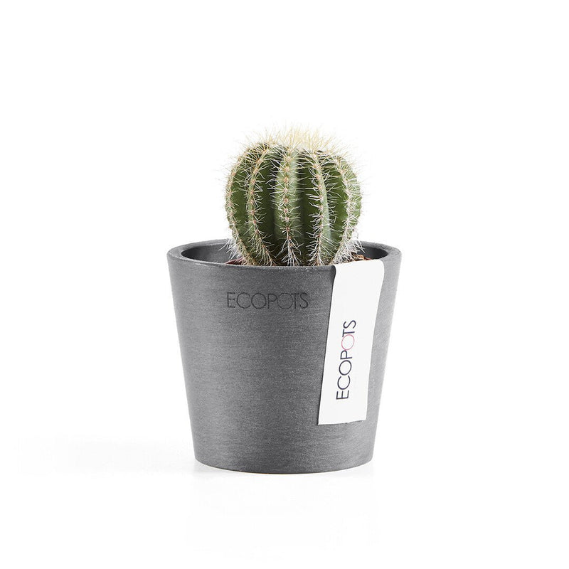 Ecopots Amsterdam Recycled Plastic Pot Grey — 8cm / Grey