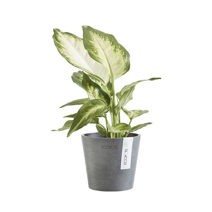 Ecopots Amsterdam Recycled Plastic Pot Grey - GROW TROPICALS