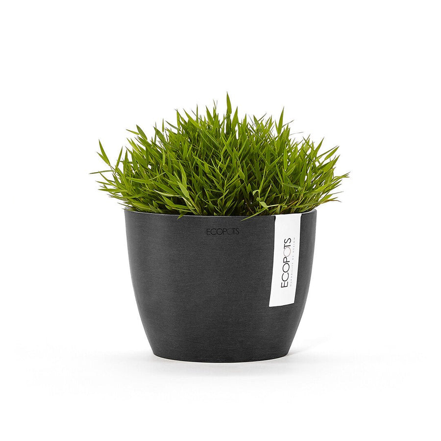 Ecopots Stockholm Recycled Plastic Pot Black - GROW TROPICALS