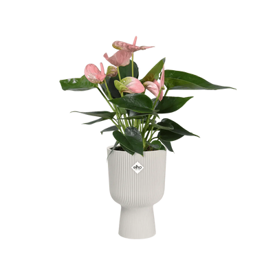 Elho Vibes Coupe Planter White / 14cm