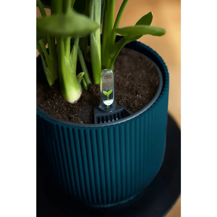 Elho Vibes Fold Mini Round Pot - GROW TROPICALS