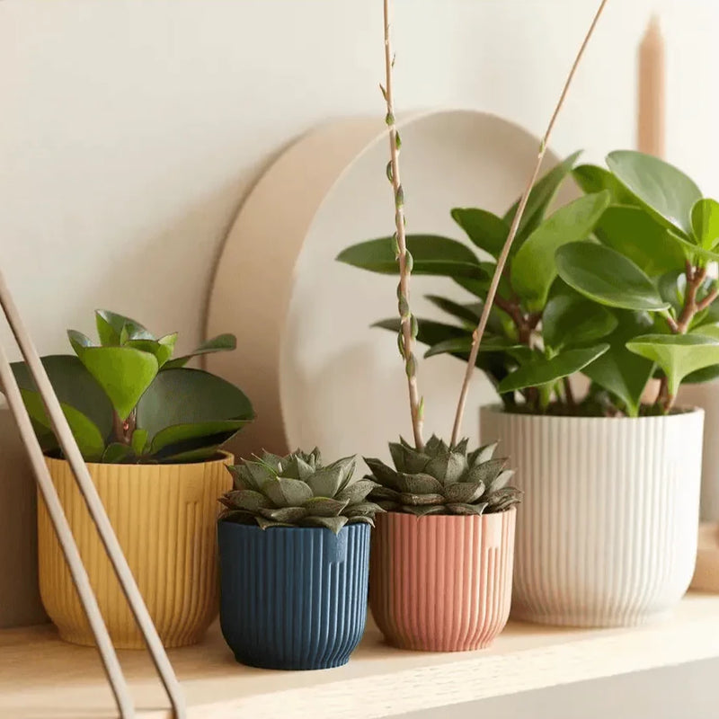 Elho Vibes Fold Mini Round Pot Pots & Planters Elho