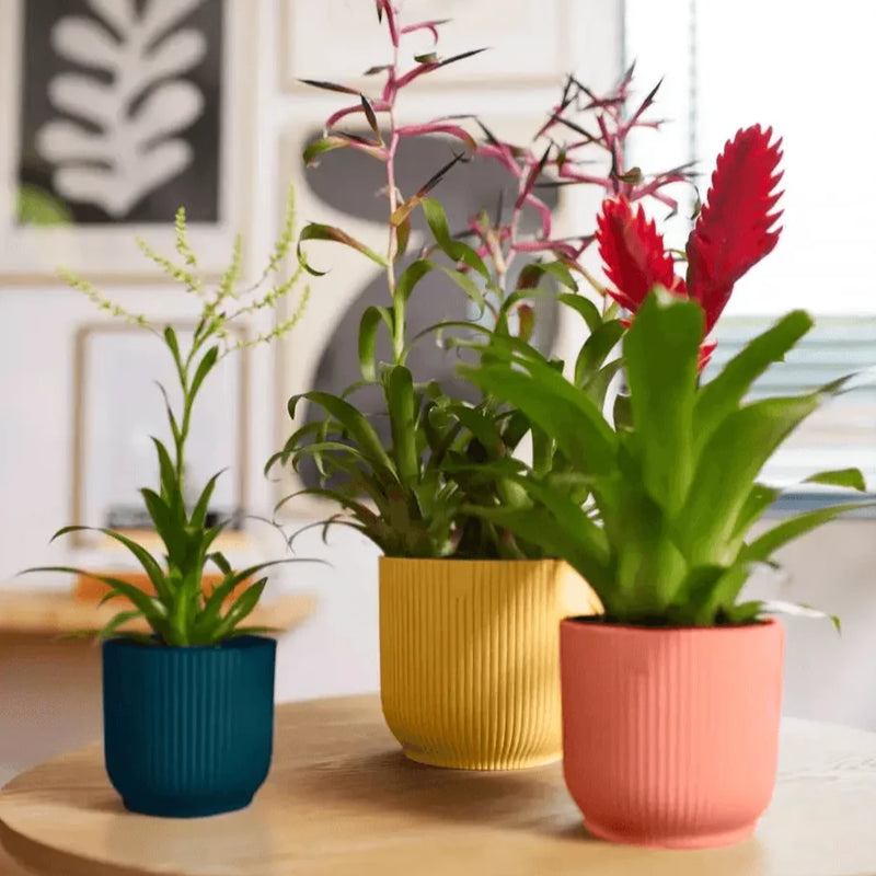 Elho Vibes Fold Round Pot Pots & Planters Elho