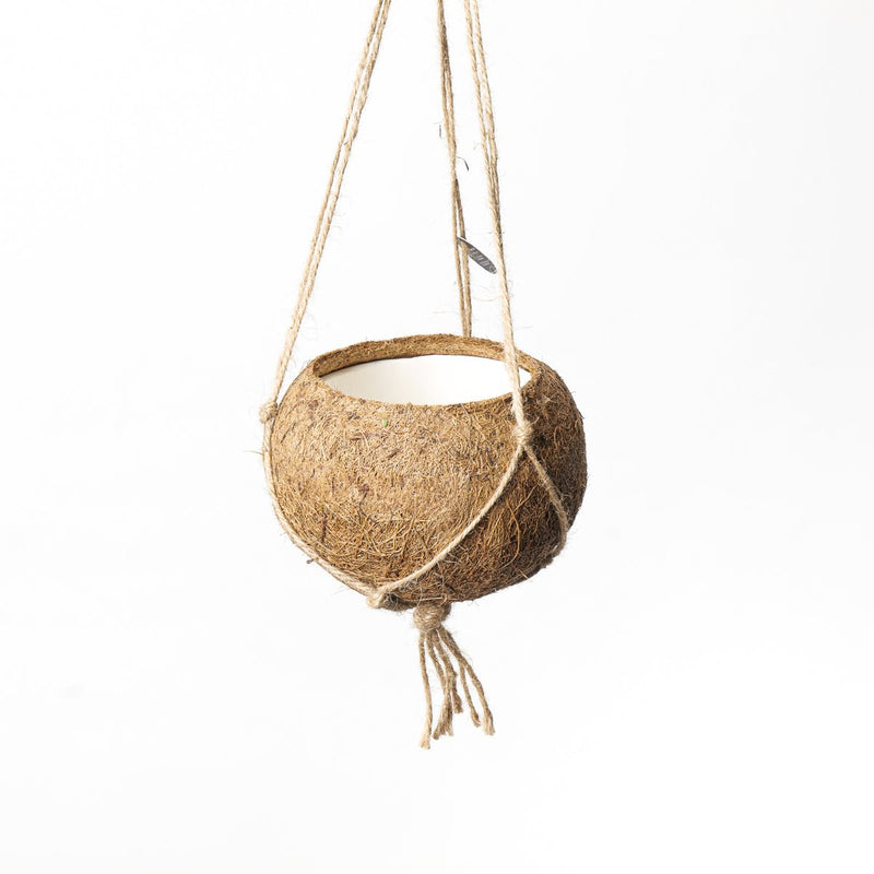 Kokodama "Coconut" hanging pot Pots & Planters GrowTropicals