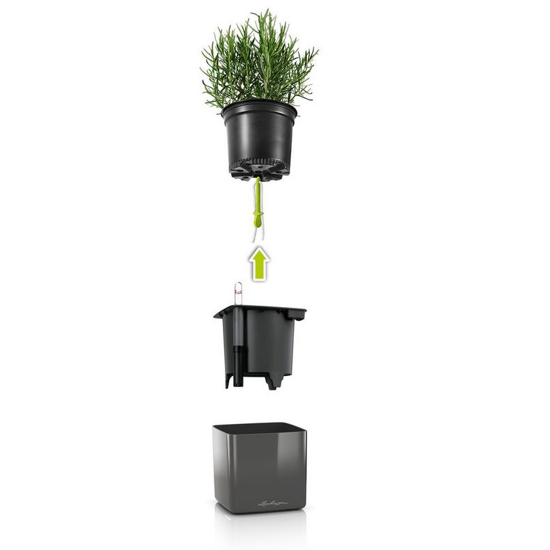 Lechuza CUBE Glossy 16 Self Watering Plant Pot Pots & Planters Lechuza