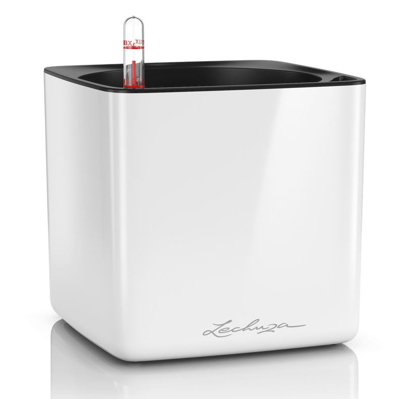 Lechuza CUBE Glossy 16 Self Watering Plant Pot White High Gloss Pots & Planters Lechuza
