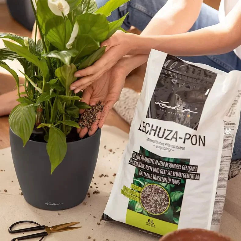 Lechuza Pon | Soil Alternative Potting Soil & Substrates Lechuza